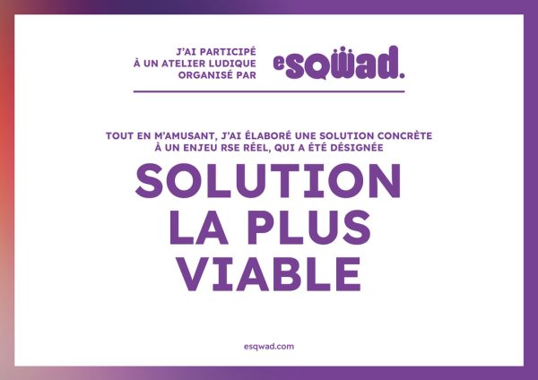 esqwad-diplome-solution-viable